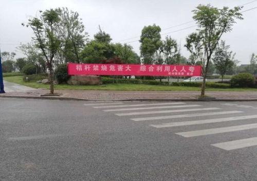 安徽广德最新爆料新闻,最新爆料揭示惊人真相  第3张