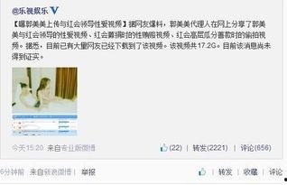 怎么拍爆料视频照片,如何捕捉瞬间,记录真相 第3张 怎么拍爆料视频照片,如何捕捉瞬间,记录真相 第3张