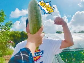 网红吃瓜 公众号推荐,揭秘娱乐圈最新热点事件! 第3张 网红吃瓜 公众号推荐,揭秘娱乐圈最新热点事件! 第3张